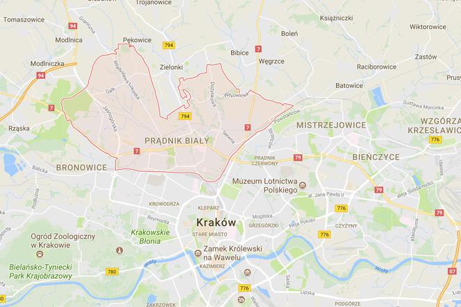 Prądnik Biały