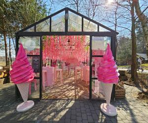 Różowa szklarnia w Bacówce najbardziej instagramowym miejscem na Podkarpaciu