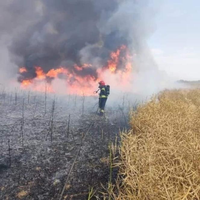 Gigantyczny pożar w okolicy Brzeska. Spłonęło ponad 100 hektarów