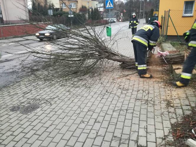 Barbara zniszczyła Polskę