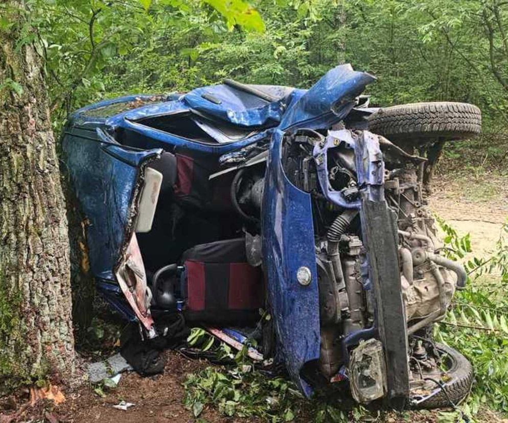 18-latek rozbił auto na drzewie. Trzech młodych mężczyzn w szpitalu