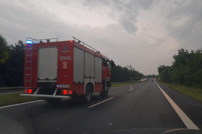 Potężna burza krąży nad Małopolską! Uszkodzone dachy i przewrócone drzewa [WIDEO]