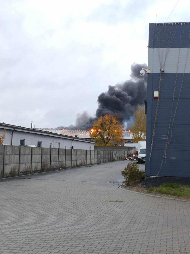 Pożar hali w Sadowie