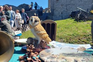 Majówka na Zamku Królewskim w Chęcinach