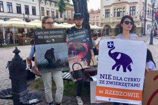 Happening w obronie zwierząt w cyrku [ZDJĘCIA]