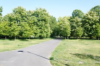 5. Park Jana Pawła II