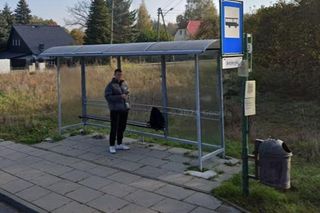 Zabawne przystanki Szczecin 