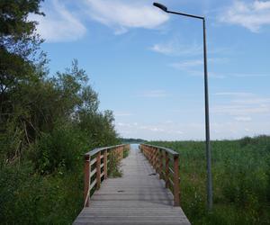 Podlaska Atlantyda, czyli Zalew Siemianówka i okolice