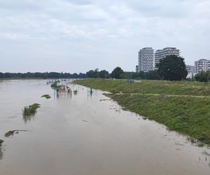 Fala powodziowa we Wrocławiu. Pod wodą są już beach bary i drogi 