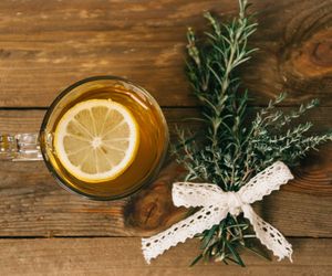 5 ziół, które pomogą wzmocnić i oczyścić oskrzela