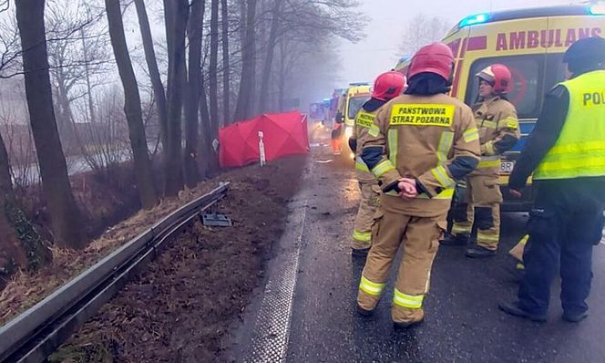 Wypadek śmiertelny w Grodźcu na DK 46