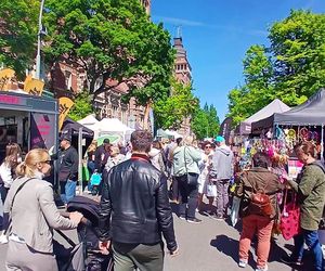 Piknik nad Odrą