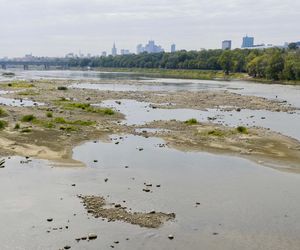 Wisła wysycha. Tak źle nie było nigdy w historii. Zdjęcia z lotu ptaka obrazują skalę suszy