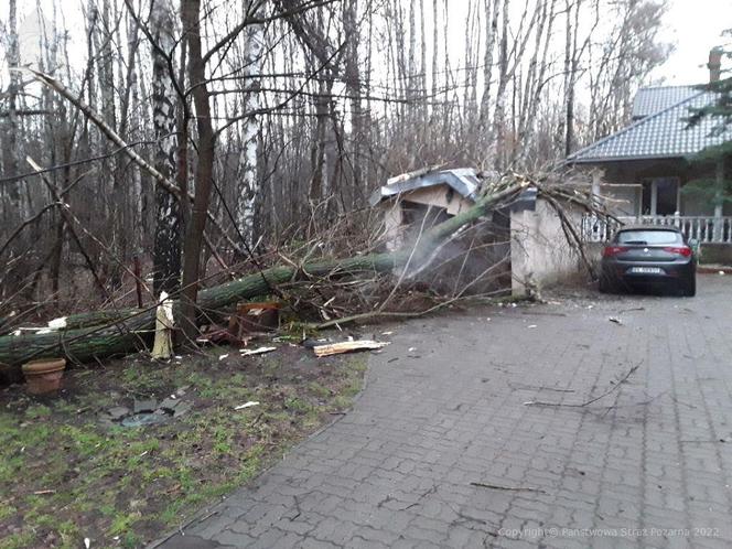 WICHURY W ŁÓDZKIEM! Trąba powietrzna, zablokowane drogi, ranni! UTRUDNIENIA, ZDJĘCIA, WIDEO