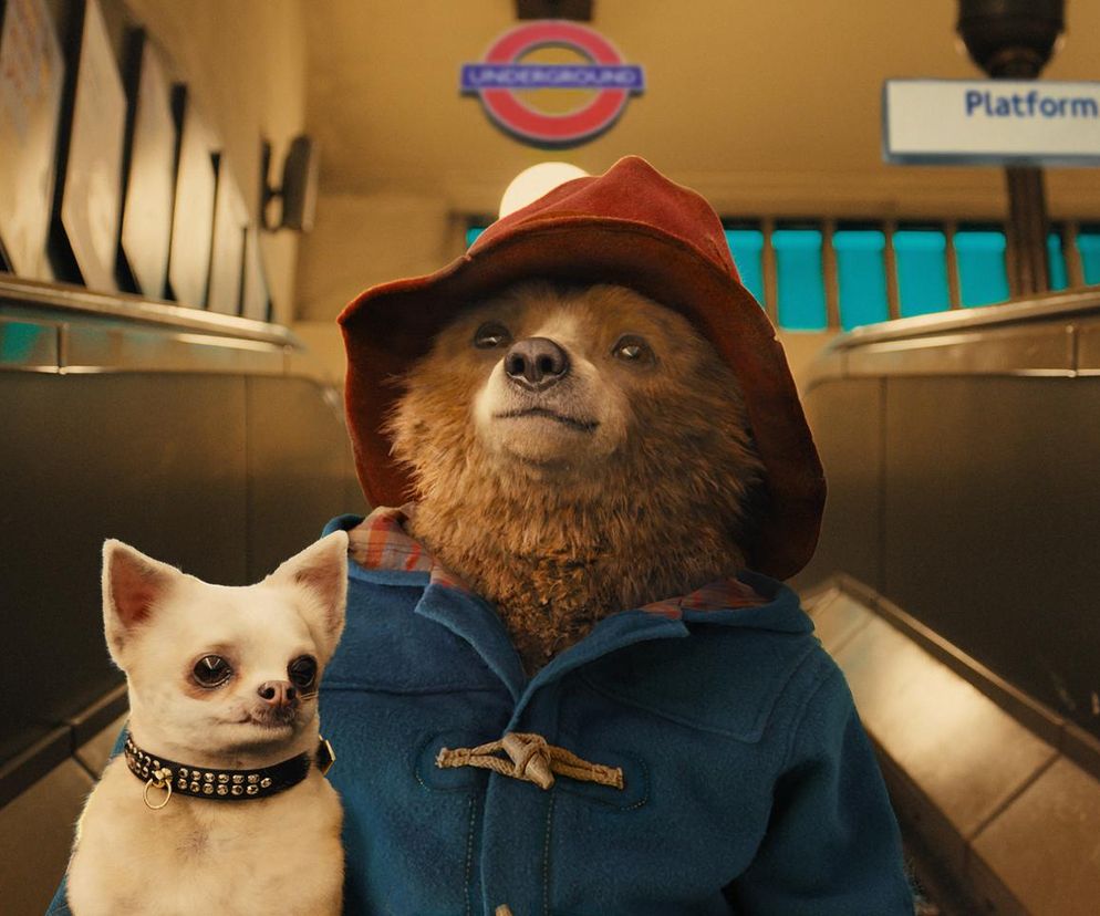 Miś Paddington