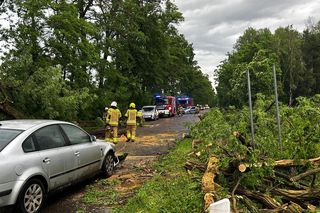 Potężne burze nad Polską. Drzewa spadały na samochody, setki interwencji straży pożarnej 
