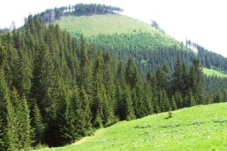 Dolina Lejowa w Tatrach