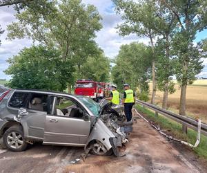 Wypadek na DK 38 w Ucieszkowie. Cztery osoby zostały poszkodowane