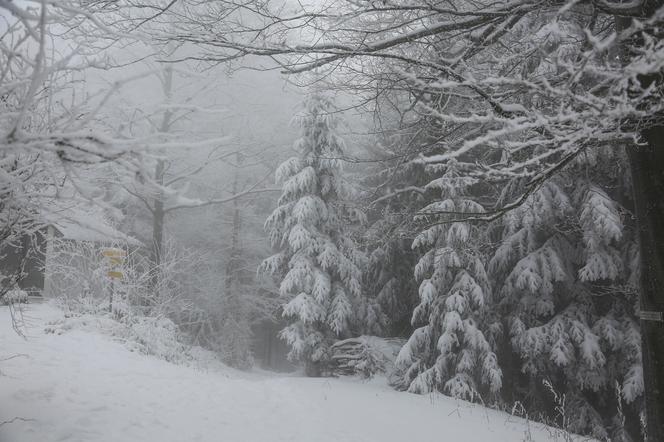 Pogoda na weekend, 4.12.-5.12. Śnieg, mróz i porywisty wiatr. Synoptycy biją na alarm! Prognoza IMGW  