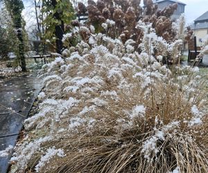 Pierwszy śnieg na Podkarpaciu