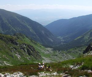 Żarska Dolina