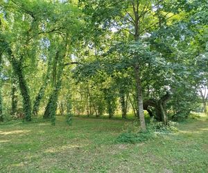 Samorząd Województwa Mazowieckiego kupił zabytkowy dwór w Paplinie wraz z otaczającym go terenem