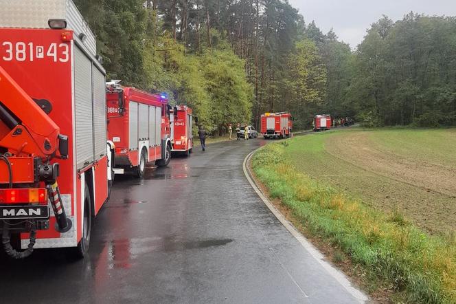 Wypadek na granicy dwóch powiatów. Kobieta uderzyła samochodem w drzewo