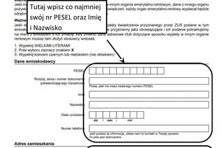 Jak wypełnić wniosek o rentę wdowią?