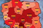 Koronawirus w Polsce. Dane na 15 września