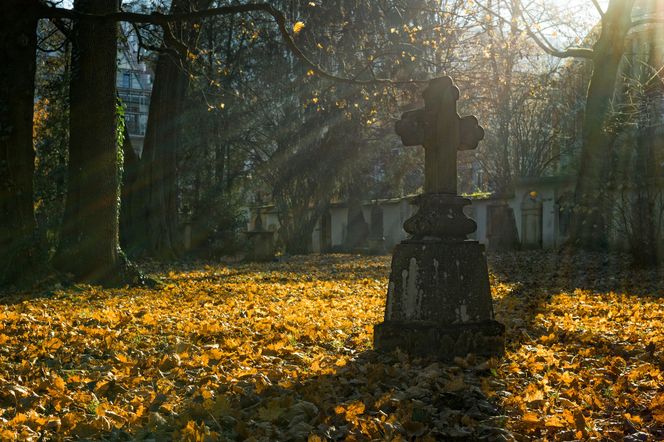 Szczecinecki cmentarz w uroczystość Wszystkich Świętych