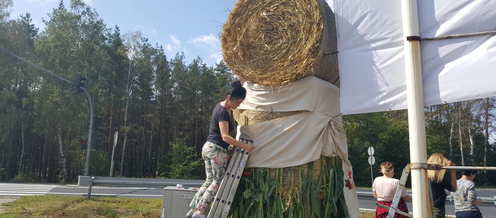 Żniwa dobiegają końca! Pod Bydgoszczą pojawiają się pierwsze witacze 