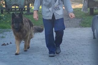 Zmarł bezdomny mężczyzna skatowany przez nastolatków. „To byli normalni chłopcy”