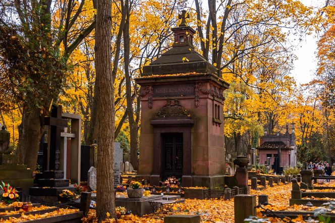 Stare Powązki. Groby architektów