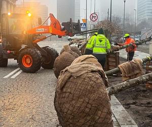 Nowa droga z drzewami przy Muzeum Sztuki Nowoczesnej w Warszawie