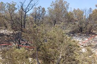 Są w samym centrum piekła. Polscy bohaterowie walczą z pożarami w Grecji