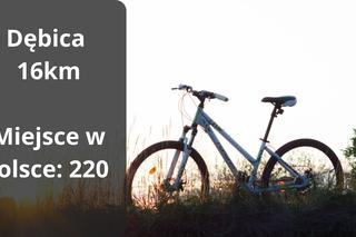 Te miasta na Podkarpaciu są przyjazne rowerzystom [RANKING]