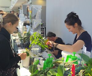 Węże, pająki i dreszczyk emocji w Bydgoszczy! Dragon Expo zachwyciło odwiedzających