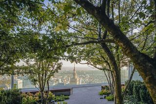 Najwyższy otwarty taras w Unii Europejskiej otworzy się w Warszawie! Spacer wśród drzew ponad 200 m nad ziemią