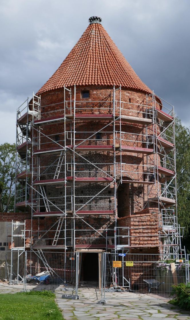 To wyjątkowy symbol miasta pod Olsztynem. Na jego szczycie znajduje się… gniazdo