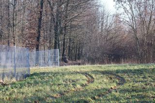 Na lubelskim lotnisku złapano nietypowego pasażera