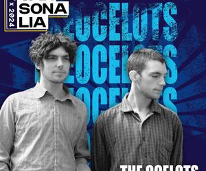 The Ocelots