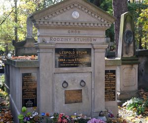 Jerzy Stuhr - mija rok od śmierci aktora