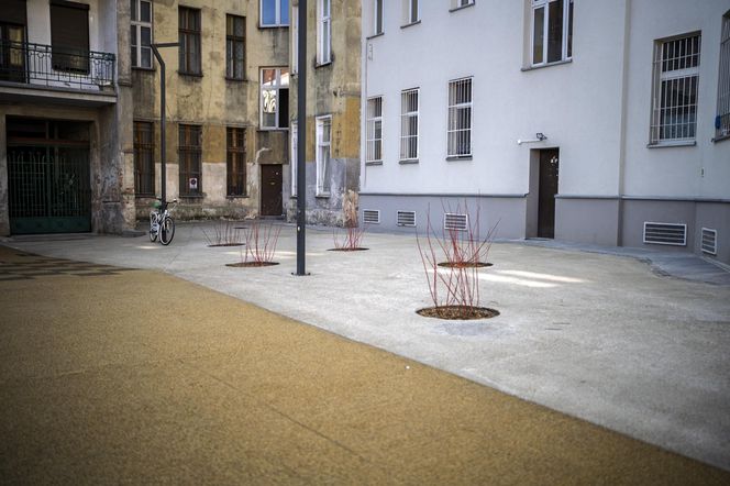 Podwórko Imienia Wszystkich Mieszkańców - Przedmieście Oławskie, Wrocław