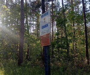 Rezerwat Mewia Łacha