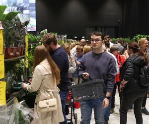 Festiwal Roślin w Katowicach przyciągnął tłumy miłośników zieleni. MCK przepełnione roślinnością