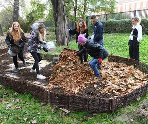 Studenci Politechniki Krakowskiej zbudowali pierwsze „glebarium”