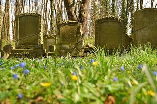 Cmentarz poewangelicki w Osiecznej 