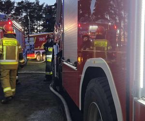 Ogień zmienił schronisko w zgliszcza! Straty są ogromne. „Jesteśmy zdruzgotani”