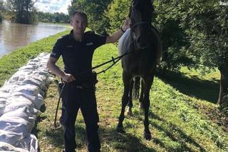 Na ratunek koniowi. Bohaterska policja