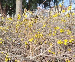 Park Kochanowskiego w Bydgoszczy, czyli serce bydgoskiej Dzielnicy Muzycznej!